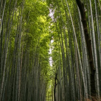 超变屠龙无限元宝版下载